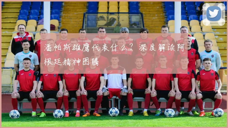 潘帕斯雄鹰代表什么？深度解读阿根廷精神图腾